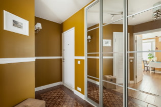 Ντουλάπα στο διάδρομο και διάδρομο: θέα, εσωτερικό, τοποθεσία, χρώμα, σχέδιο