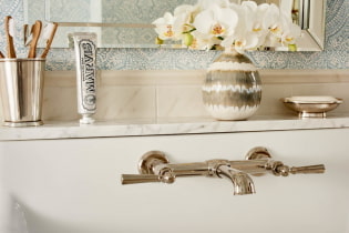 Kệ trong phòng tắm: các loại, thiết kế, vật liệu, màu sắc, hình dạng, tùy chọn vị trí