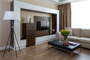 Oturma odasında duvar (salon): tasarım, tipler, malzemeler, renkler, yerleştirme ve doldurma seçenekleri