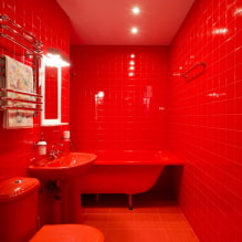Kırmızı banyo: tasarım, kombinasyonlar, gölgeler, sıhhi tesisat, tuvalet dekorasyon örnekleri-0
