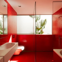 Rødt bad: design, kombinasjoner, nyanser, rørleggerarbeid, eksempler på etterbehandling av toalettet-1