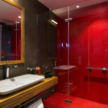 ห้องน้ำสีแดง: การออกแบบการรวมกันการแรเงาการประปาตัวอย่างของการตกแต่งห้องน้ำ -3