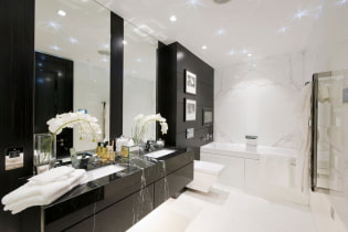 Melnbalta vannas istaba: apdares materiālu izvēle, santehnika, mēbeles, tualetes dizains