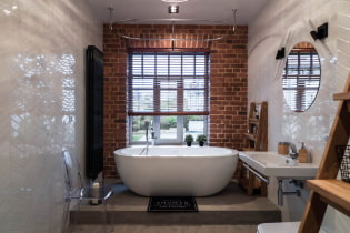 Loft στυλ μπάνιο: επιλογή τελειώματα, χρώματα, έπιπλα, υδραυλικά και διακόσμηση