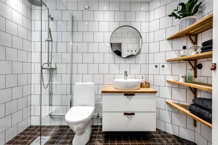 İskandinav banyo: renk, kaplama, mobilya, sıhhi tesisat ve dekor seçenekleri