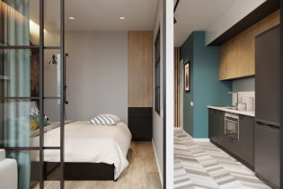 Appartamento 40 mq m. - idee di design moderno, suddivisione in zone, foto all'interno