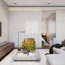 Appartamento design 50 mq m. - foto degli interni, layout, stili-6