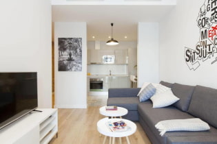 Návrh bytu 36 m2. m. - územní plánování, návrhy uspořádání, fotografie v interiéru