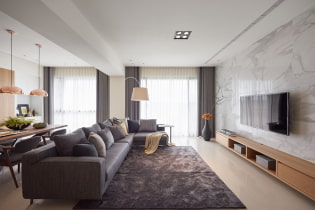 A lakás kialakítása 100 négyzetméter. m. - elrendezési ötletek, fénykép a szoba belsejében