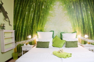 Chambre verte: nuances, combinaisons, choix de finitions, mobilier, rideaux, éclairage