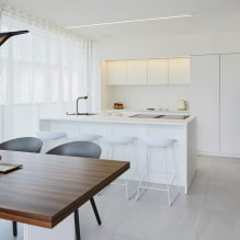 Dapur dalam gaya minimalis: ciri reka bentuk, pembaikan sebenar foto-7