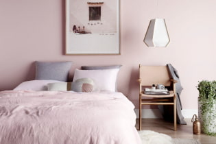 Ružová spálňa: dizajnové prvky, krásne kombinácie, skutočné fotografie