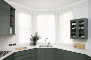 Κουζίνα με παράθυρο κόλπων: χαρακτηριστικά σχεδίασης, παραδείγματα σχεδίων και ζωνών