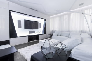 Svart / hvitt stue: designfunksjoner, ekte eksempler i interiøret