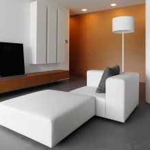Stue i stil med minimalisme: designtips, bilder i interiøret-1
