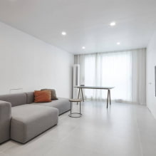 Phòng khách theo phong cách tối giản: mẹo thiết kế, hình ảnh trong nội thất-4