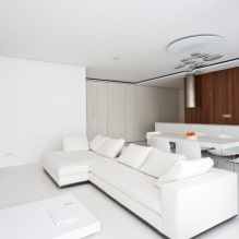 Beyaz oturma odası: tasarım özellikleri, fotoğraflar, diğer renklerle kombinasyonlar-0