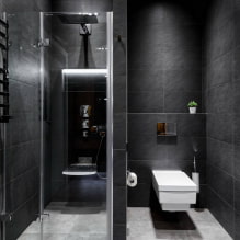 Vannas istabas dizains ar dušas kabīni: fotogrāfijas interjerā, izvietojuma iespējas-3
