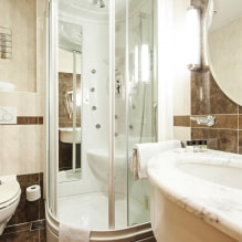Σχεδιασμός ενός μπάνιου με ντους: φωτογραφίες στο εσωτερικό, επιλογές για ρύθμιση-7