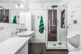 Suihkukäyttöön tarkoitetun kylpyhuoneen suunnittelu: valokuva sisätiloissa, suunnitteluvaihtoehdot