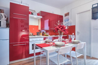 Dapur merah: ciri reka bentuk, foto, kombinasi