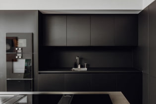 Cucina nera: caratteristiche di design, combinazioni, foto reali