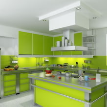 Světle zelená kuchyně: kombinace, výběr záclon a povrchových úprav, výběr fotografie-6