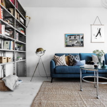 Obývací pokoj ve skandinávském stylu: funkce, skutečné fotografie v interiéru-5
