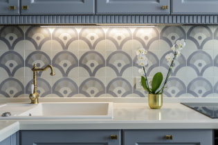 Delantal de azulejos para la cocina: consejos para elegir, diseño, foto en el interior