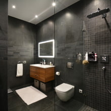 L'intérieur de la salle de bain combiné avec WC-1