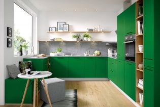 Πράσινη κουζίνα: φωτογραφίες, ιδέες σχεδίασης, συνδυασμοί με άλλα χρώματα