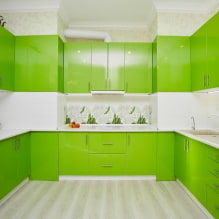 Zaļā virtuve: fotogrāfijas, dizaina idejas, kombinācijas ar citām krāsām-2