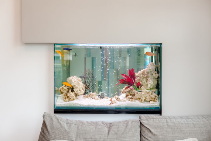 Aquarium à l'intérieur: photos, vues, exemples réels de design