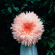 How to make large flowers from corrugated paper? MK step-by-0