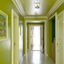 Hvordan vælger man en farve til gangen og korridoren? Mørkt eller lys interiør? -6