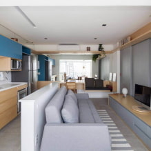 Dizajn obývacej izby v kuchyni 20 štvorcových. m. - fotografia v interiéri, príklady zónovania-1