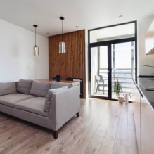 Návrh kuchyně-obývací pokoj 20 sq. m. - fotografie v interiéru, příklady zónování-6