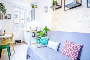 Sala de estar de cozinha em estilo escandinavo: fotos e regras de design
