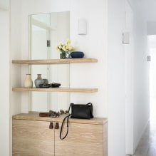 Designfunktioner för korridoren och korridoren i stil med minimalism-0