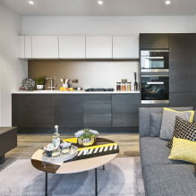 Cocina-sala de estar 16 m2 - guía de diseño-2