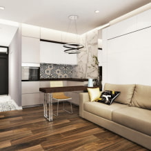 Virtuve-dzīvojamā istaba 16 kv m - dizaina ceļvedis-7