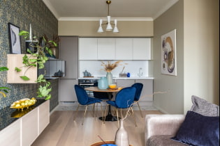 Mutfak-oturma odası 25 m2 - en iyi çözümlere genel bakış