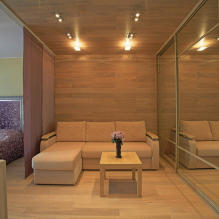 Spálňa a obývacia izba v jednej miestnosti: príklady územného plánovania a dizajnu-7