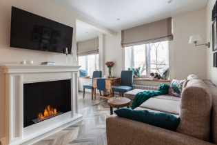 Living interior interior na may fireplace: mga larawan ng pinakamahusay na solusyon