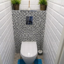 Kā izveidot modernu tualetes dizainu Hruščovā? (40 foto) -1