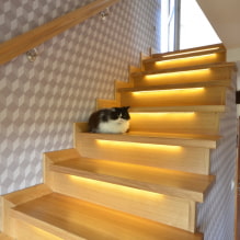 Osvětlení schodů v domě: skutečné fotografie a příklady osvětlení-8