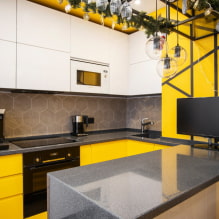 Dizajn kuhinje 11 m2 - 55 stvarnih fotografija i ideja za dizajn-8
