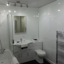 Panel PVC untuk bilik mandi: kebaikan dan keburukan, ciri pilihan, reka bentuk-1