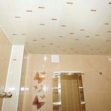 PVC-paneelit kylpyhuoneeseen: hyvät ja huonot puolet, valitut ominaisuudet, muotoilu 7