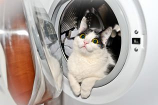 Kur novietot veļas mašīnu?